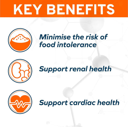 - Dog Food, Vet Formulated Wet Dog Food for Kidney Support, Non-Gmo, Lamb Flavor, Made in Italy (3.5 Oz, 32 Pack)